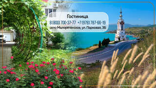 Гостиница Надежда Малореченское-0