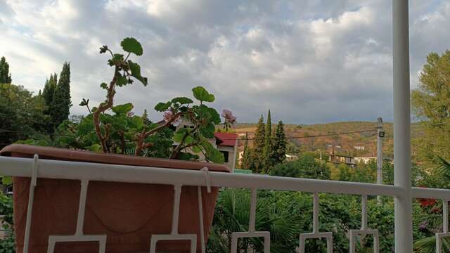 Гостиница Надежда Малореченское-14